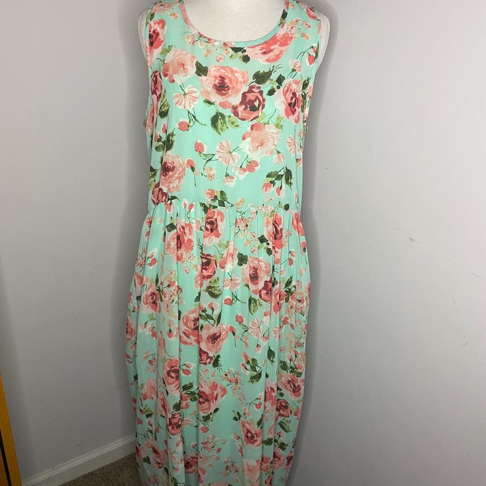 NWT Agnes & Dora Floral Godiva Dress